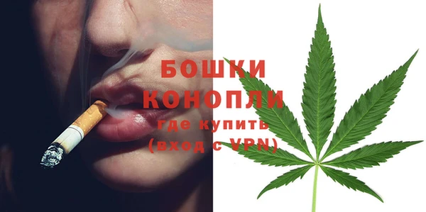 сатива Алексин