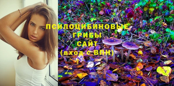 кокс Алзамай